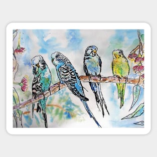 Colourful Budgies Budgerigars Sitting on A Branch Watercolor Painting Sticker